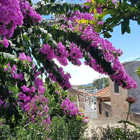 Gostinjska kuća Roza Vrboska