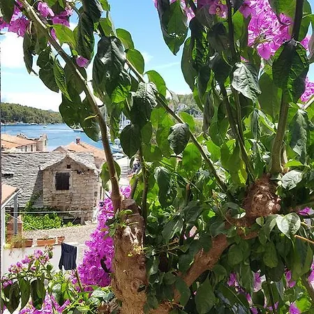 Gostinjska kuća Roza Vrboska