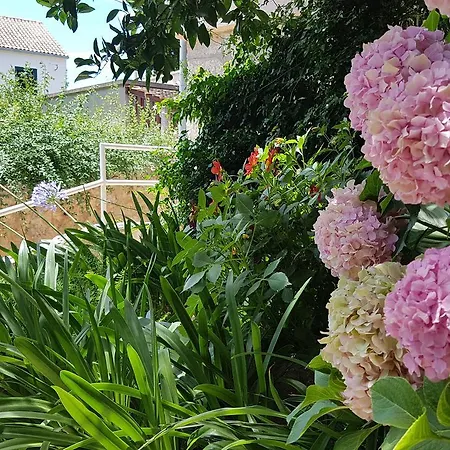 Roza 3* Врбоска